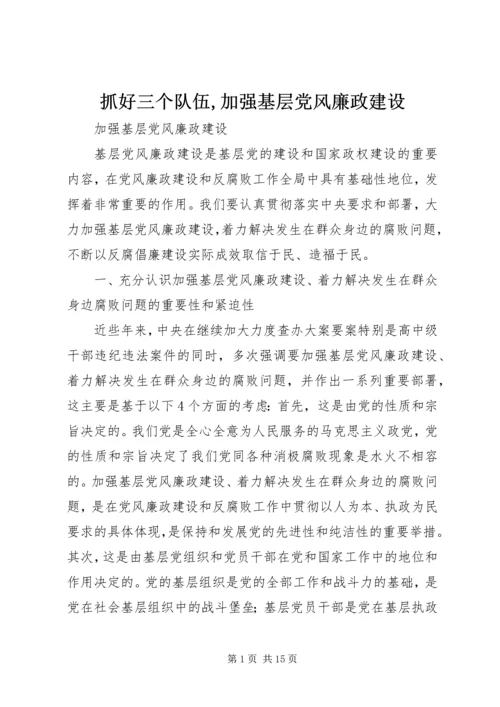 抓好三个队伍,加强基层党风廉政建设 (2).docx