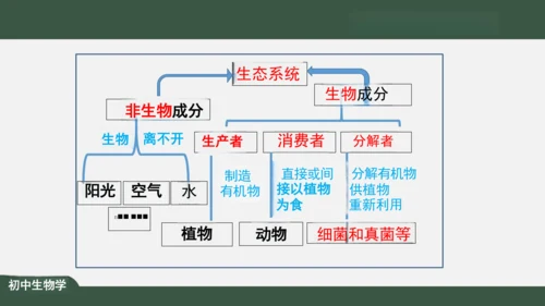 1.2.2 生物与环境组成生态系统 课件（共30张PPT）