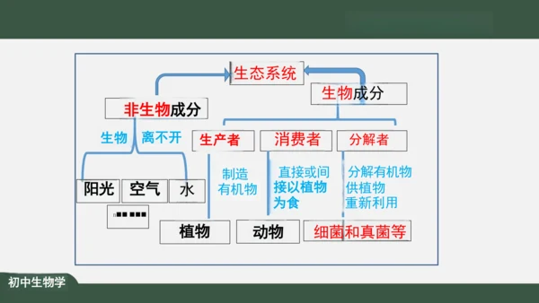 1.2.2 生物与环境组成生态系统 课件（共30张PPT）