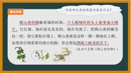 统编版语文四年级上册 第三单元习作：  写观察日记课件