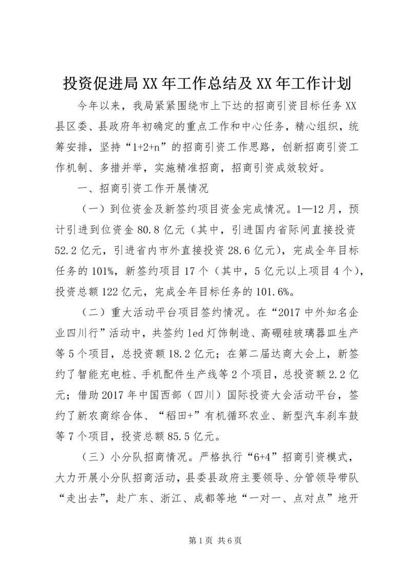 投资促进局XX年工作总结及XX年工作计划.docx