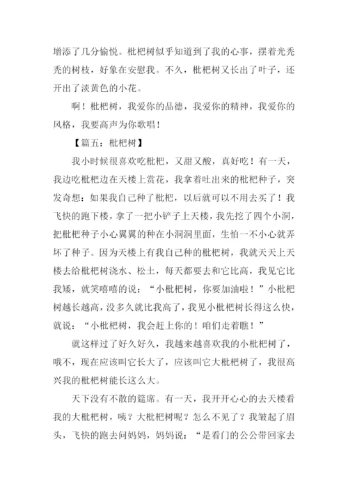 枇杷树作文600字.docx