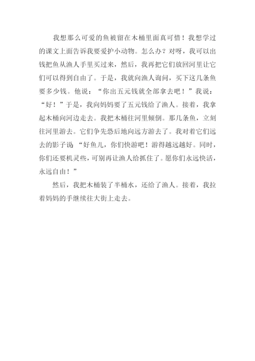 关爱动物作文400字.docx