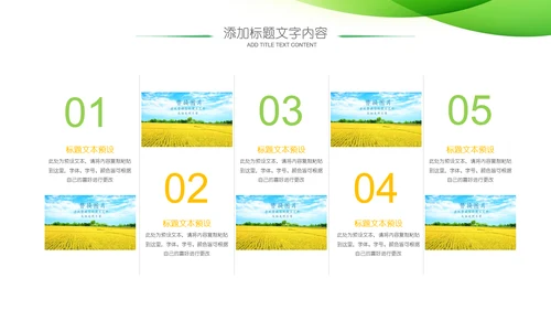 农业新农村种子春耕乡村振兴麦田发芽PPT