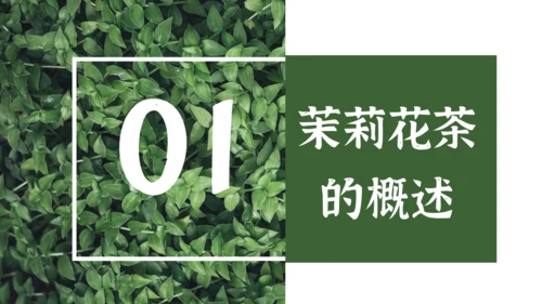 茉莉花茶满墙绿色植物通用PPT模板
