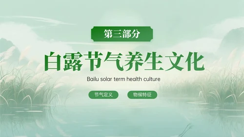 绿色中国风白露节气知识PPT模板