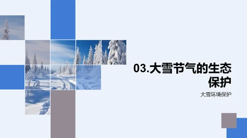 大雪季的生态益处