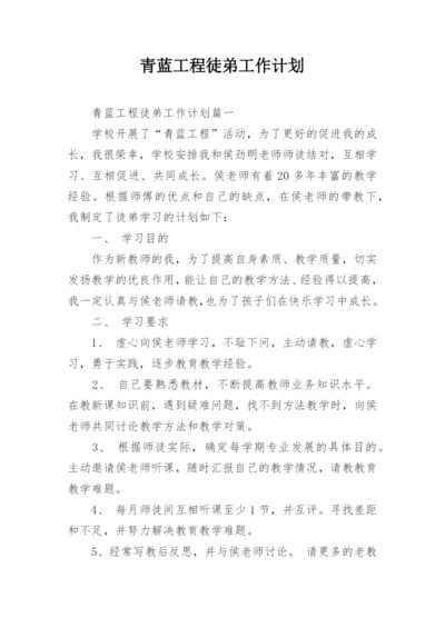 青蓝工程徒弟工作计划.docx