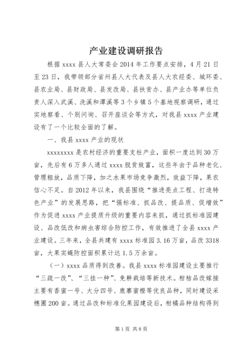 产业建设调研报告精编.docx