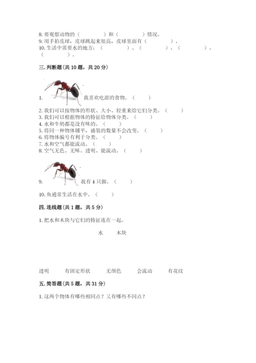 教科版一年级下册科学期末测试卷（中心小学）.docx