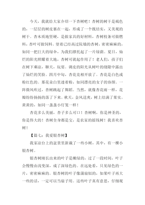 关于杏树的作文300字.docx