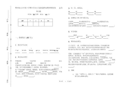 期末练习五年级下学期小学语文专题试题精选期末模拟试卷C卷练习题