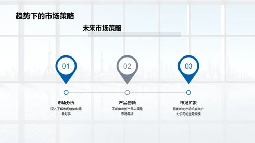 公司发展与战略分析