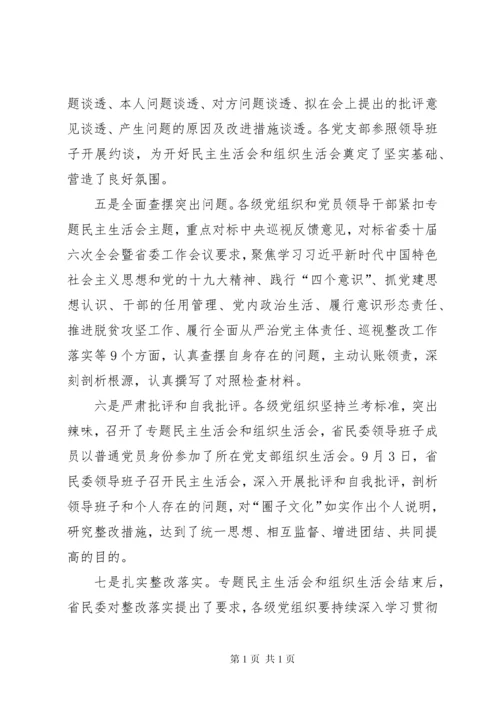 巡视整改专题民主生活会和组织生活会发言稿.docx