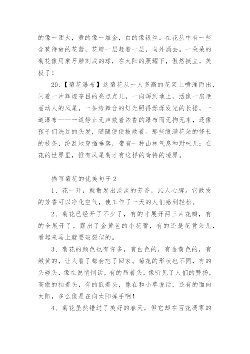 描写菊花的优美句子.docx