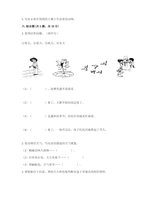 教科版二年级上册科学期末测试卷及参考答案（研优卷）.docx