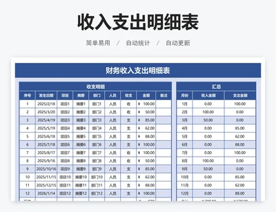 财务收入支出明细表