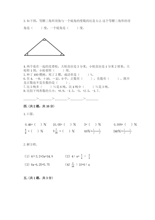 小学六年级数学毕业试题【名师系列】.docx