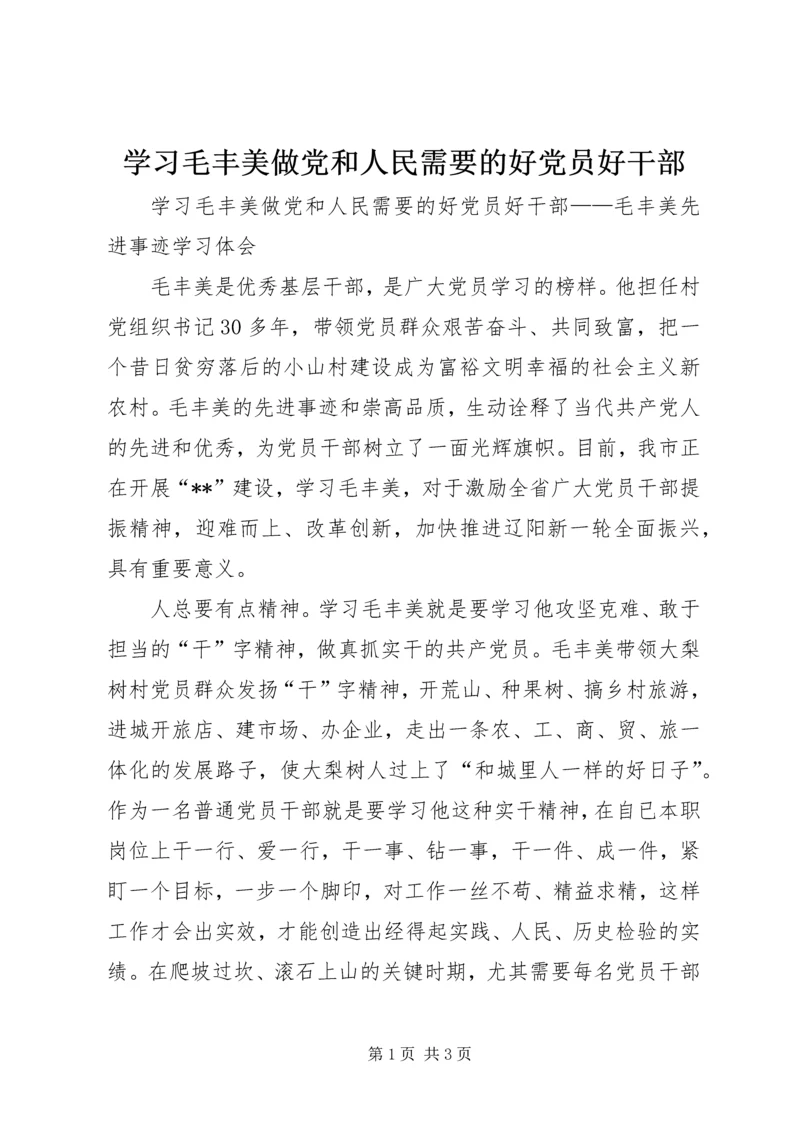 学习毛丰美做党和人民需要的好党员好干部.docx