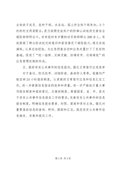 乡镇应急管理工作总结范文.docx