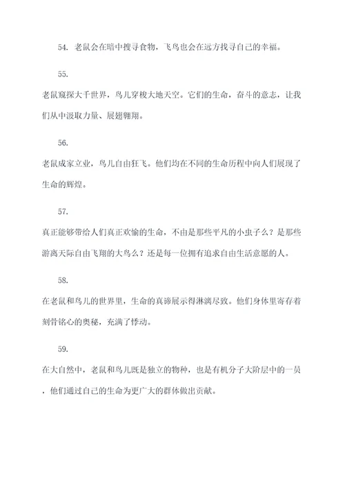 老鼠和鸟谚语
