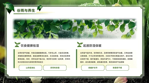绿色系传统文化二十四节气谷雨主题PPT模板