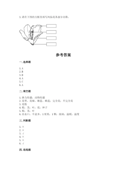 教科版科学四年级下册第一单元《植物的生长变化》测试卷【基础题】.docx