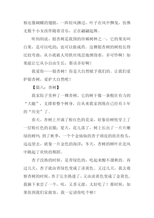 关于杏树的作文300字.docx