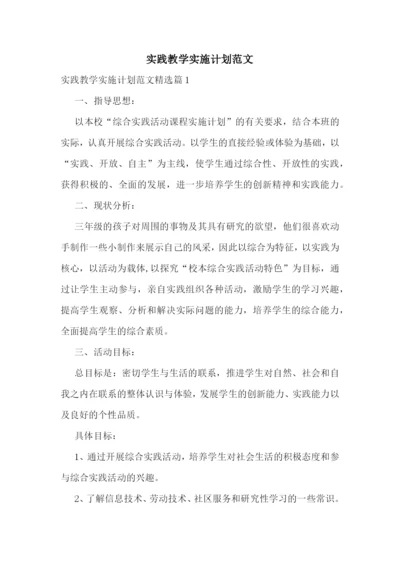 实践教学实施计划范文.docx