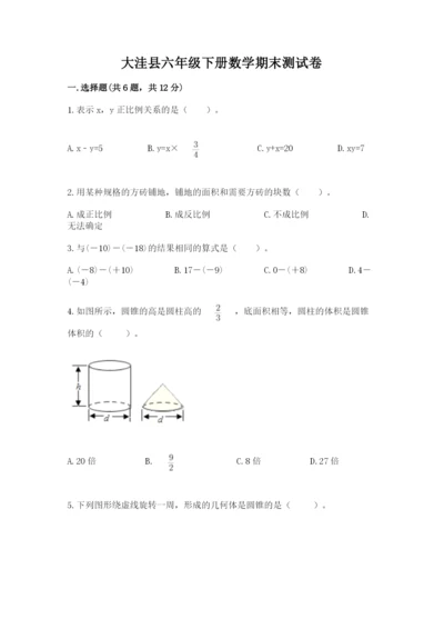 大洼县六年级下册数学期末测试卷完美版.docx