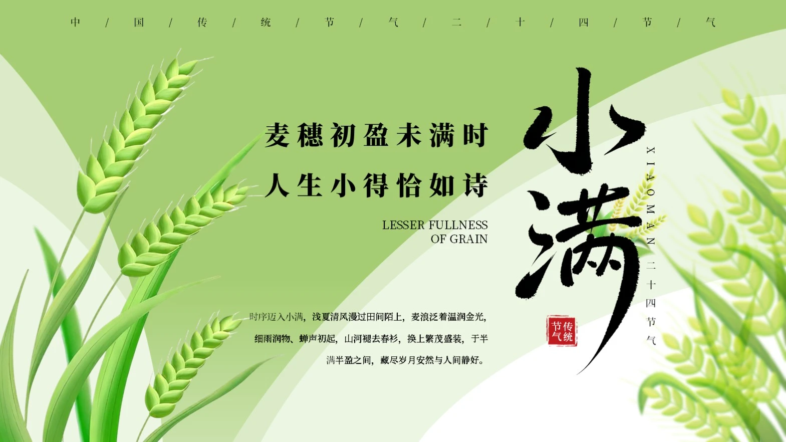 绿色简约中国传统节气二十四节气之小满节气介绍PPT模板