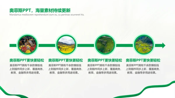 绿色简约风农学专业科研总结