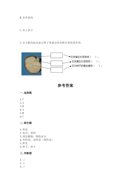 科学四年级下册第一单元《植物的生长变化》测试卷精品（满分必刷）.docx