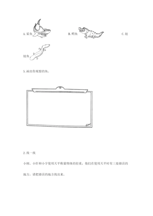 教科版小学科学一年级下册期末测试卷（达标题）.docx