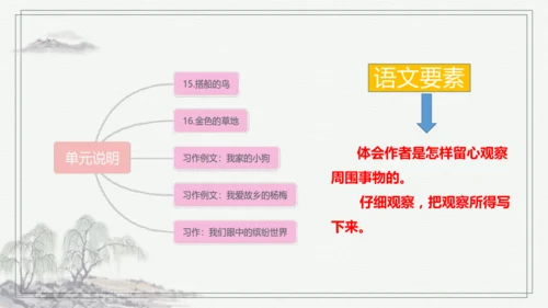 部编版语文三年级上册第五单元复习 课件