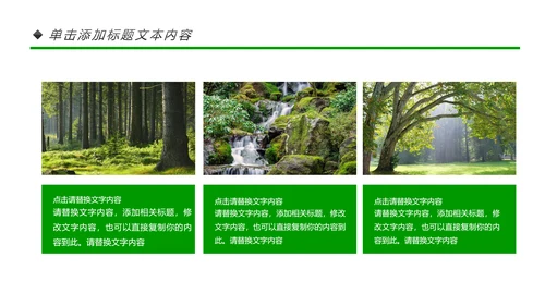 绿色环保世界湿地森林日动态PPT模板