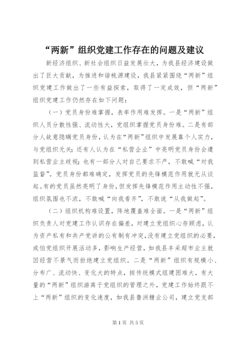 最新精编之“两新”组织党建工作存在的问题及建议.docx