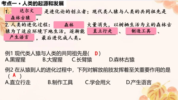 人教版（新课标）七下生物第四单元第一至三章复习课件(共34张PPT)