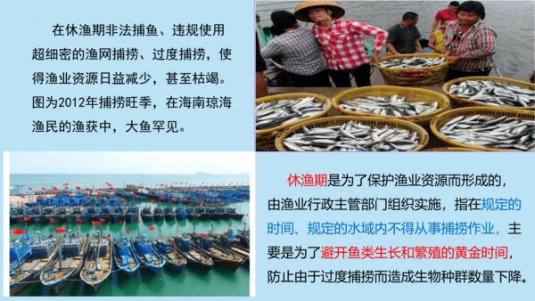 3.1 自然资源的基本特征（课件38张）-人教版八年级地理上册
