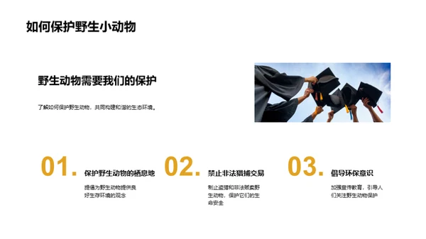 我们的小小动物园