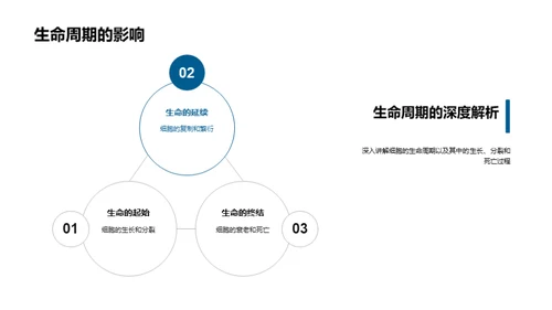 生命密码解析