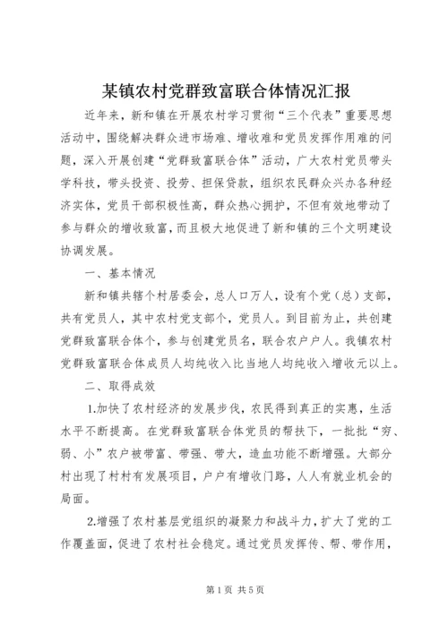 某镇农村党群致富联合体情况汇报.docx