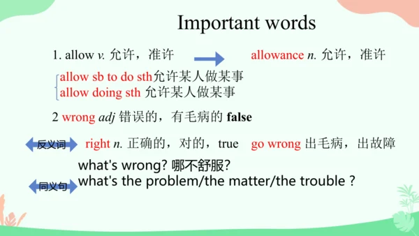 Unit 4 知识点重难点讲解 课件（人教版八下Unit 4 Why don’t you talk 