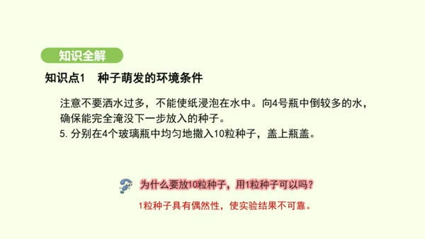 第三单元-第一章-第一节-种子的萌发课件-2024-2025学年七年级生物下学期人教版(2024)(