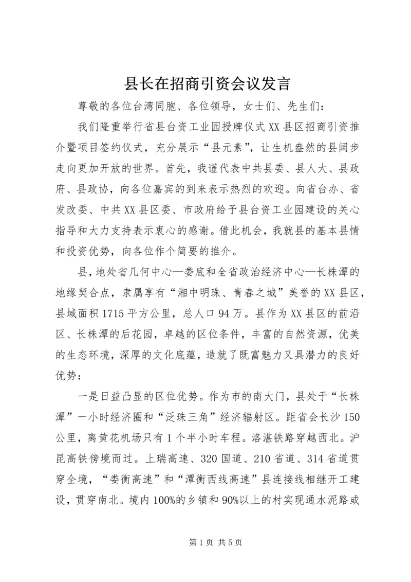 县长在招商引资会议发言.docx