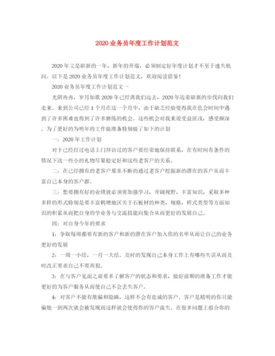 精编之业务员年度工作计划范文.docx