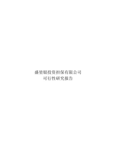 担保公司可行性专题研究报告详细.docx