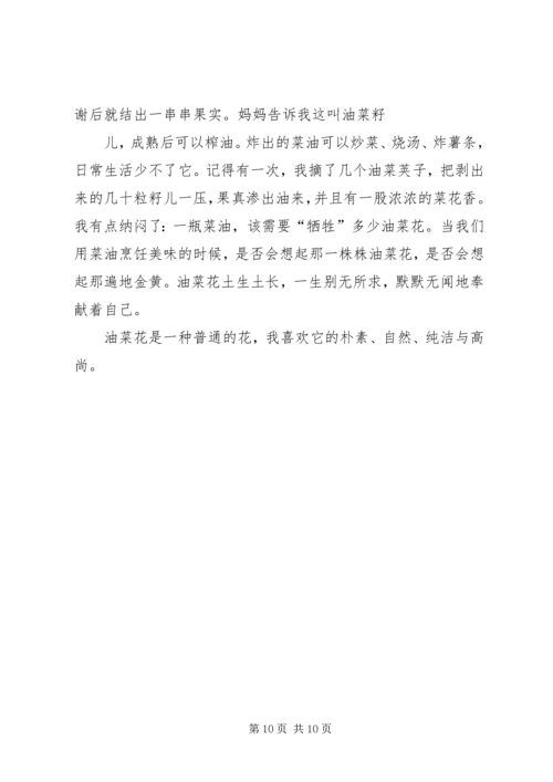 学习《成功人士的七个习惯》心得 (2).docx