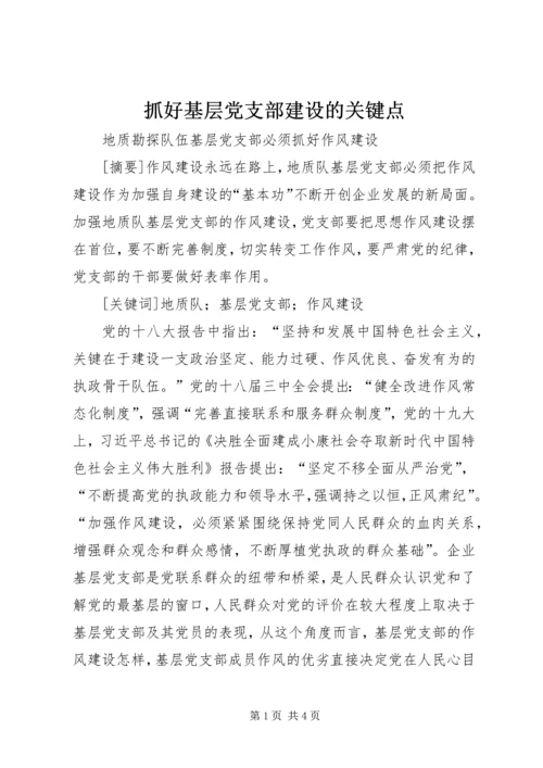 抓好基层党支部建设的关键点 (4).docx