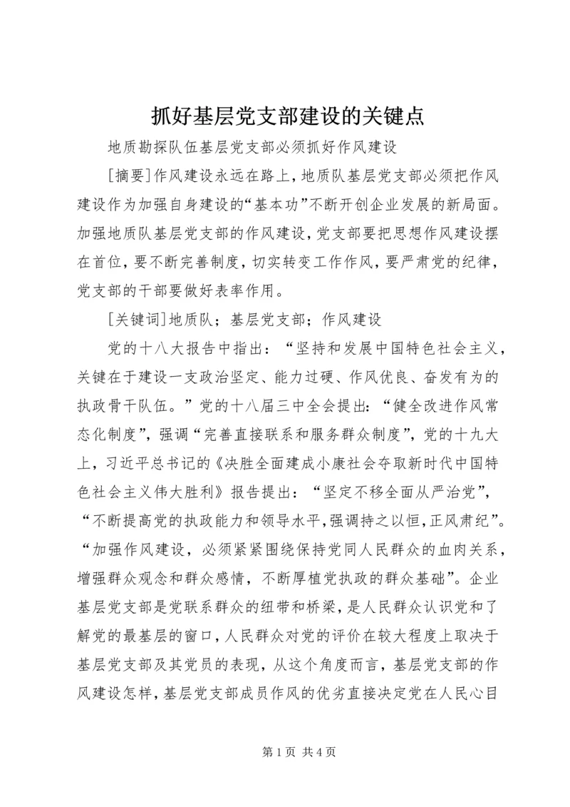 抓好基层党支部建设的关键点 (4).docx